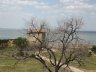 Belgorod-Dnestrovsky4.jpg - 